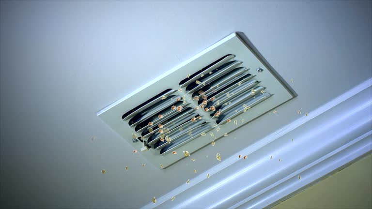 Best Affordable Air Duct Cleaning  in Nashotah, WI